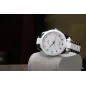 Часы Festina Ceramic F20499/1