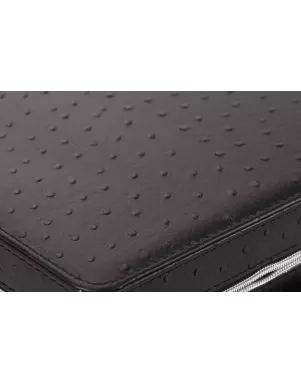 Кейс для годинників Craft 8ZIP.CSE