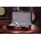 Скринька для зберігання годинників Salvadore 805-10ZSBG WD