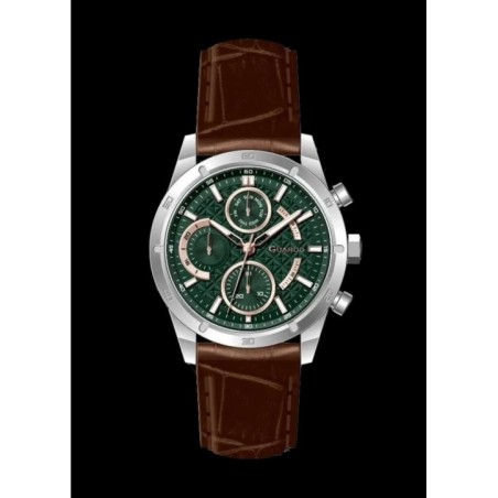 Guardo 012734-2 (SVBr)