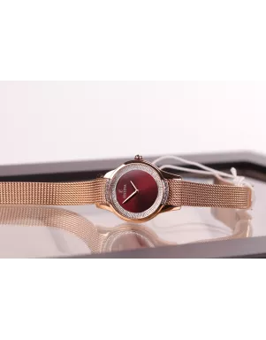 Festina F20496/1