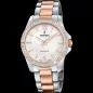 Festina F20595/1