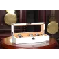 Скринька для зберігання годинників Salvadore WB/3081/WH