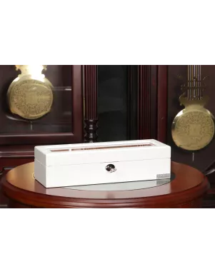 Скринька для зберігання годинників Salvadore WB/3081/WH