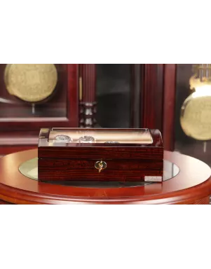 Скринька для зберігання годинників Salvadore WB/3034/BUC
