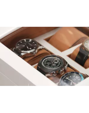 Скринька для зберігання годинників Salvadore WB/3035/6WH