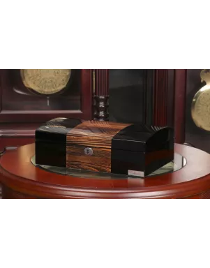Скринька для зберігання годинникіа Salvadore 807-8ZBB