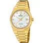 Часы Festina Swiss Made F20039/1