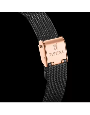 Часы Festina Automatic Skeleton F20628/3