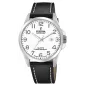 Годинник Festina Swiss Made F20025/1