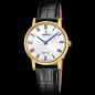 Годинник Festina Swiss Made F20017/4