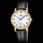 Часы Festina Swiss Made F20017/5