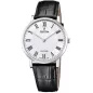 Годинник Festina Swiss Made F20012/2