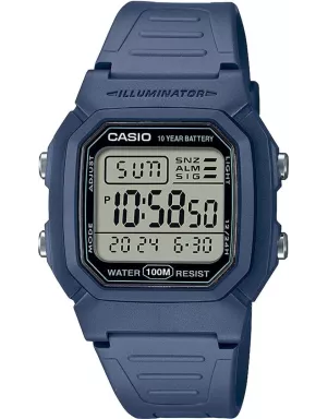 Годинник Casio TIMELESS COLLECTION W-800H-2AVES