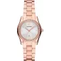 Годинник Emporio Armani Federica AR11558