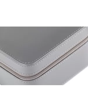 Кейс для годинників Salvadore 2W-FH-GGF-SPU
