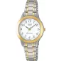 Часы Casio TIMELESS COLLECTION LTP-1263PG-7BEG