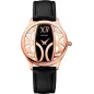 Годинник Balmain Balmazing 1479.32.62
