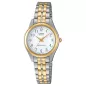 Casio LTP-1129G-7B
