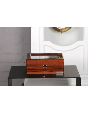Скринька для годинників Salvadore 6W-RSG-KC.LUX