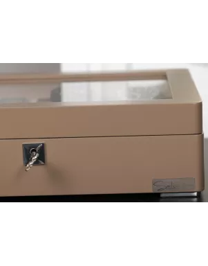 Скринька для зберігання годинників Salvadore WB/3420/8.TAN