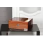Скринька для годинників Salvadore 6W-RSG-BX.LUX