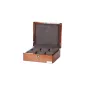 Скринька для годинників Salvadore 6W-RSG-BX.LUX