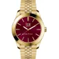 Часы Ice-Watch ICE steel solar Gold Burgundy 023793