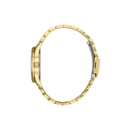 Жіночий годинник Freelook F.1.10313.3