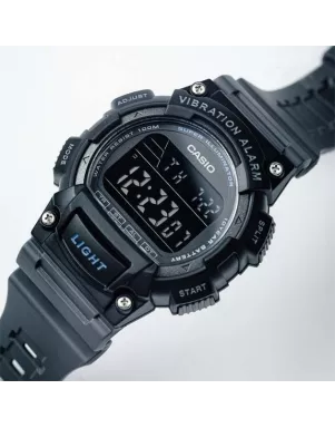 Casio TIMELESS COLLECTION W-736H-8B