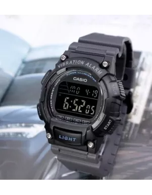 Casio TIMELESS COLLECTION W-736H-8B