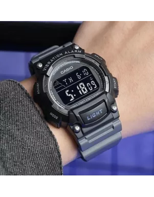Casio TIMELESS COLLECTION W-736H-8B