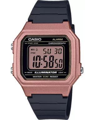 Годинник Casio TIMELESS COLLECTION W-217HM-5AVEF