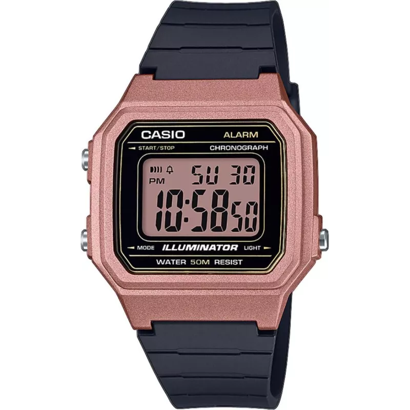 Часы Casio TIMELESS COLLECTION W-217HM-5AVEF