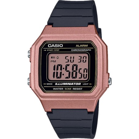 Годинник Casio TIMELESS COLLECTION W-217HM-5AVEF
