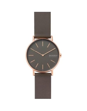 Годинник Skagen Signatur SKW2794