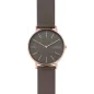 Годинник Skagen Signatur SKW2794