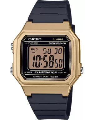 Годинник Casio TIMELESS COLLECTION W-217HM-9AVEF