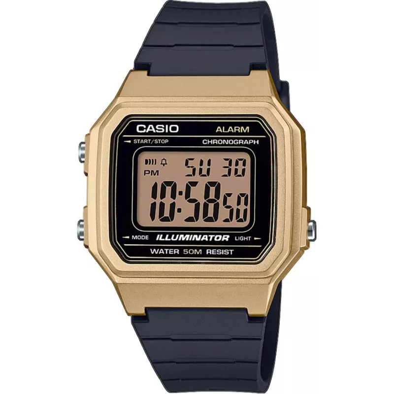 Часы Casio TIMELESS COLLECTION W-217HM-9AVEF