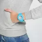 BGA-170-2BER