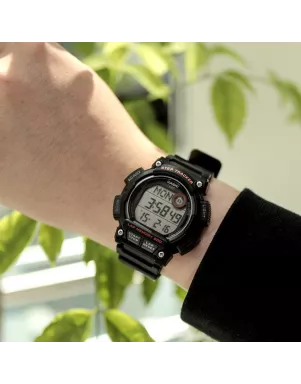 Часы Casio TIMELESS COLLECTION WS-2100H-1A