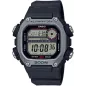 Годинник Casio TIMELESS COLLECTION DW-291H-1AVEF