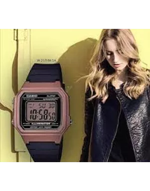 Годинник Casio TIMELESS COLLECTION W-217HM-5AVEF