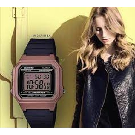 Годинник Casio TIMELESS COLLECTION W-217HM-5AVEF