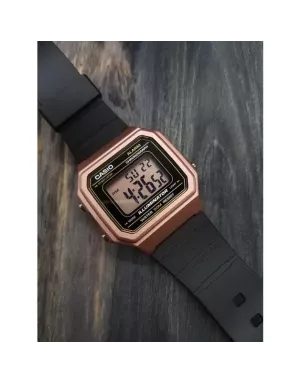 Часы Casio TIMELESS COLLECTION W-217HM-5AVEF