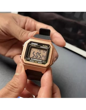 Часы Casio TIMELESS COLLECTION W-217HM-5AVEF