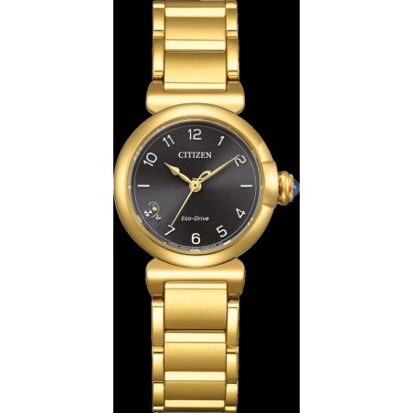 Годинник Citizen L EM1132-88H
