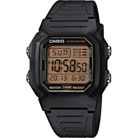 Часы Casio TIMELESS COLLECTION W-800HG-9AVEF