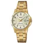 Часы Casio TIMELESS COLLECTION LTP-V004G-9BUDF
