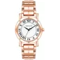 Годинник Anne Klein AK/4014WTRG